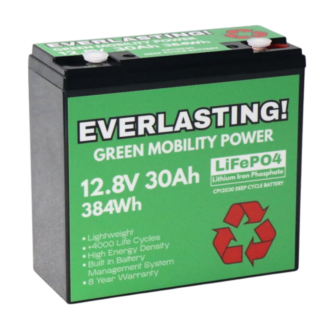 LiFePO4 Lithuim Mobility Battery